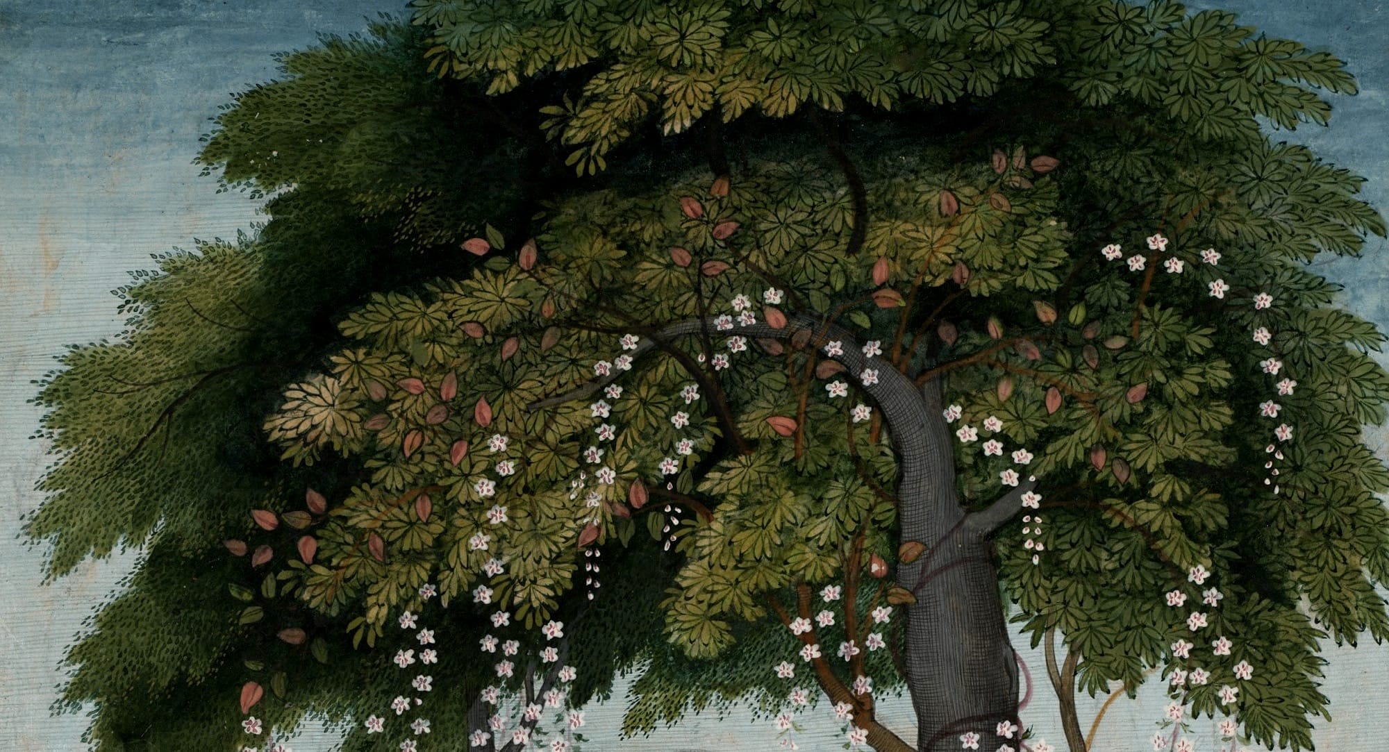 The Kailash Foundation